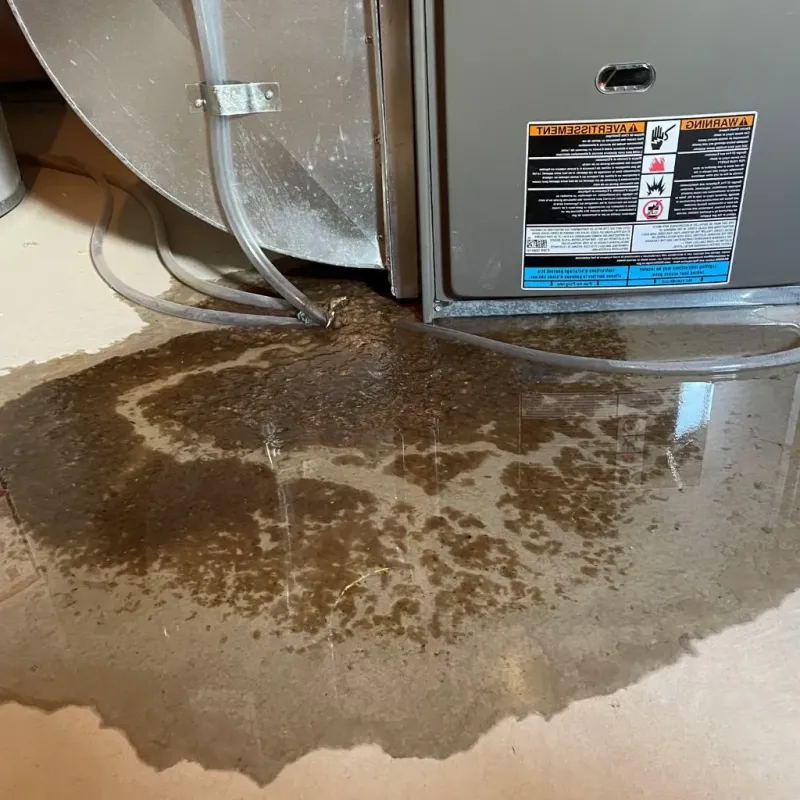 Pipe Burst and Leak Restoration in Eagle, NE